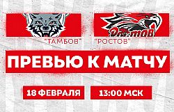 Превью к матчу с ХК "Тамбов" (18 февраля в 13:00 мск)