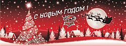 С наступающим Новым годом!